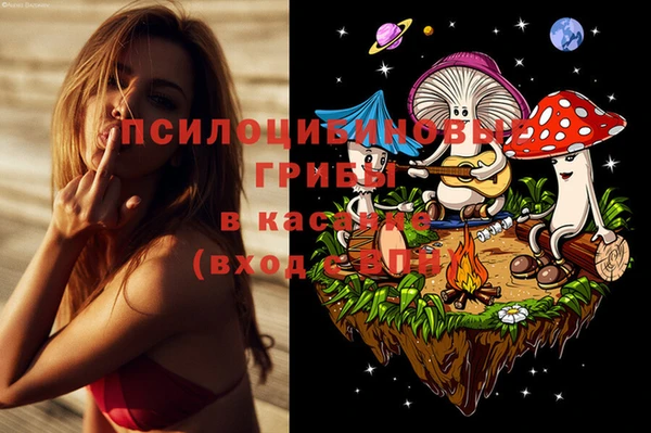 spice Белокуриха