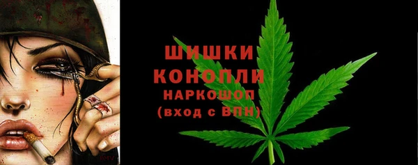 мдпв Богданович