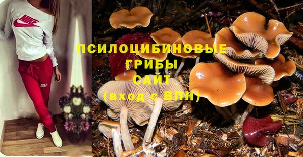 стаф Богородицк