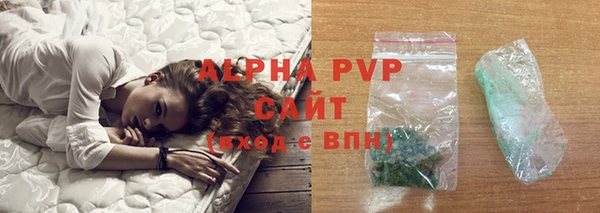 стаф Богородицк