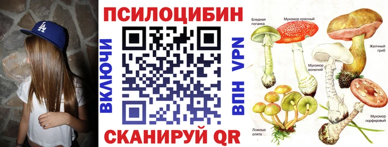 где продают наркотики  KRAKEN ссылка  Псилоцибиновые грибы Magic Shrooms  Каспийск 